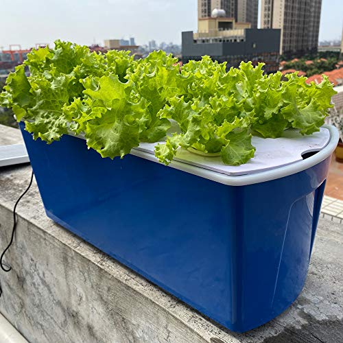 LAPOND 水耕栽培システム 10穴 水耕栽培キット 水耕栽培植物用 水耕栽培野菜/果物/ハーブ/花など 屋内/屋外用 無土壌栽培植栽ボックス 専用ポンプ付き（上層4L+下層7L）