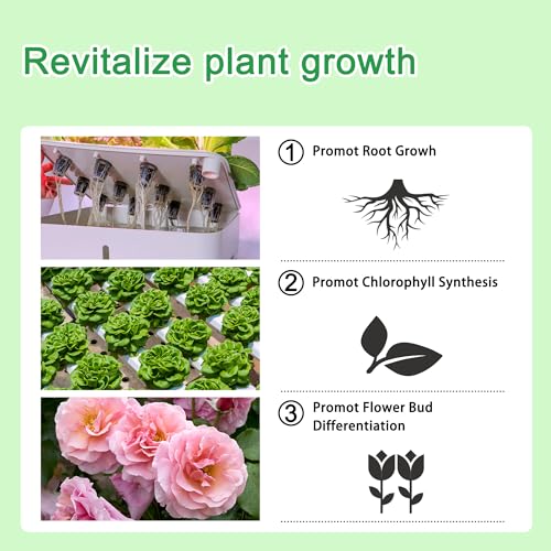 ALIINKD 水耕栽培栄養素 (合計1000ml)、A&B 水耕栽培システムおよび鉢植え観葉植物用 植物肥料用品
